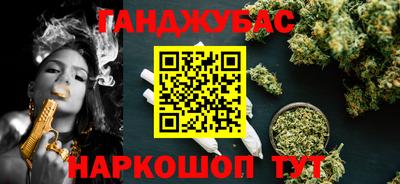 сатива Краснознаменск