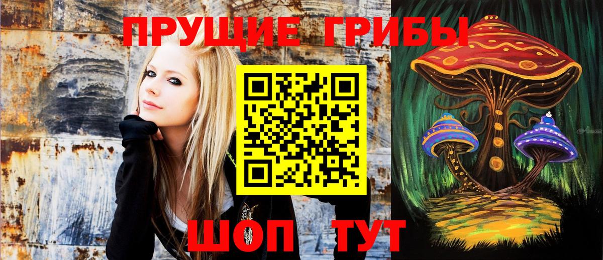 Костомукша  Псилоцибиновые грибы Cubensis  Вход с VPN 